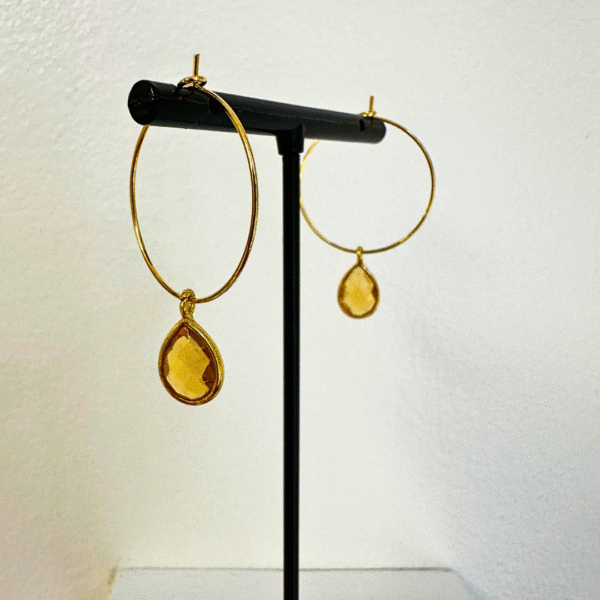 🔄 Hoop Earring Collection - Image 23