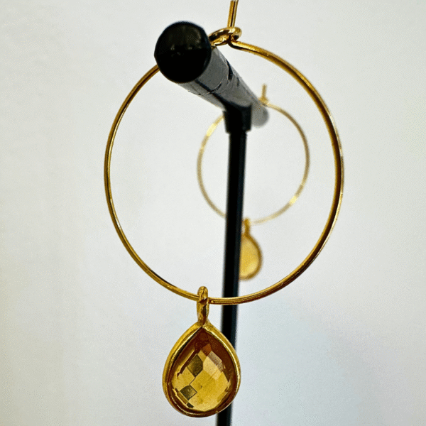 🔄 Hoop Earring Collection - Image 22