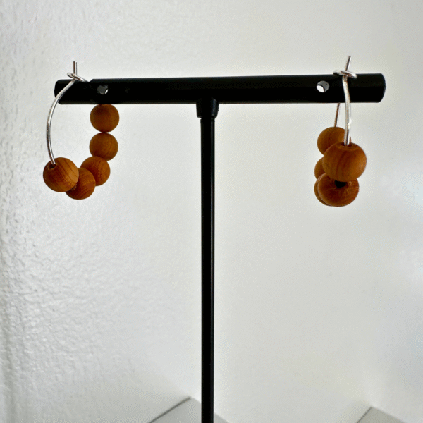 🔄 Hoop Earring Collection - Image 29