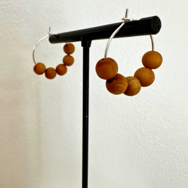 🔄 Hoop Earring Collection - Image 28